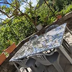 Au Bord Du Tarn * Vabre