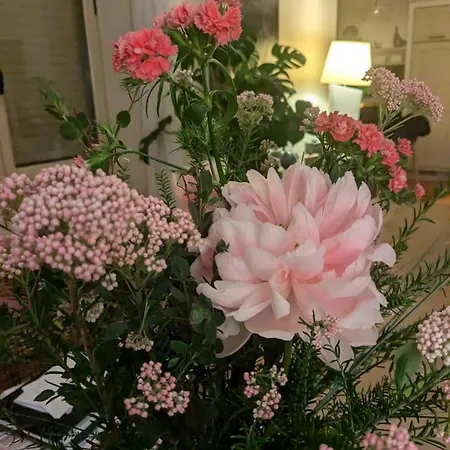 Hébergement de vacances Au Bord Du Tarn *