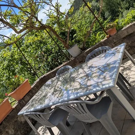 Au Bord Du Tarn * La Cresse